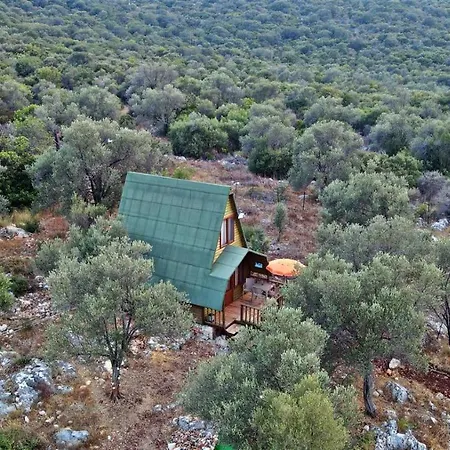 History Limanagzi Kaş